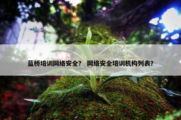 蓝桥培训网络安全？ 网络安全培训机构列表？