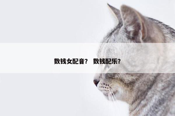 数钱女配音？ 数钱配乐？