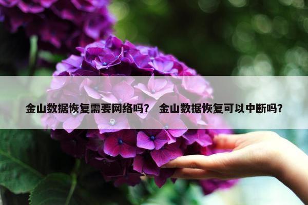 金山数据恢复需要网络吗？ 金山数据恢复可以中断吗？