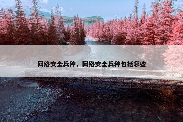 网络安全兵种，网络安全兵种包括哪些