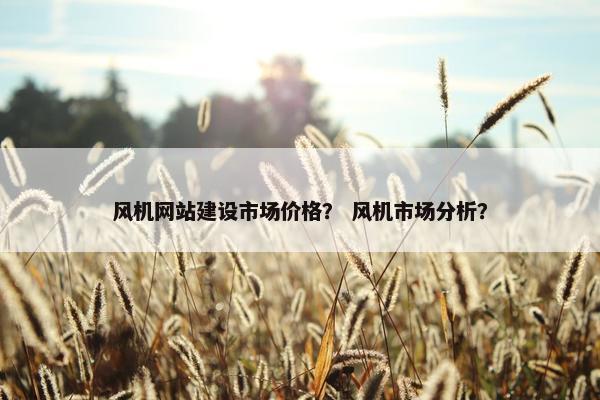 风机网站建设市场价格？ 风机市场分析？