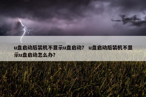 u盘启动后装机不显示u盘启动？ u盘启动后装机不显示u盘启动怎么办？