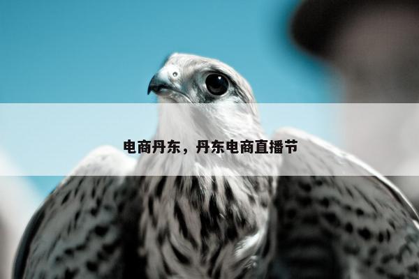 电商丹东，丹东电商直播节