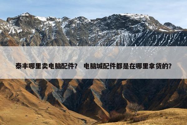泰丰哪里卖电脑配件？ 电脑城配件都是在哪里拿货的？
