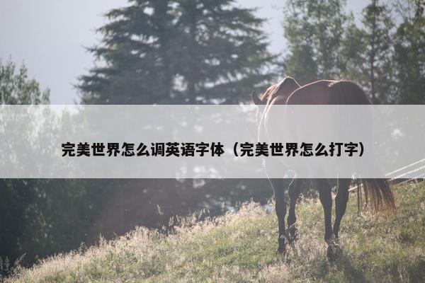 完美世界怎么调英语字体（完美世界怎么打字）