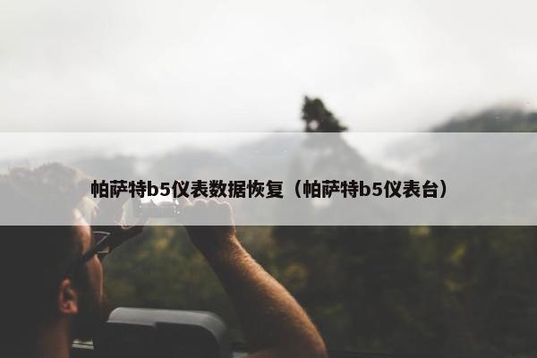 帕萨特b5仪表数据恢复（帕萨特b5仪表台）