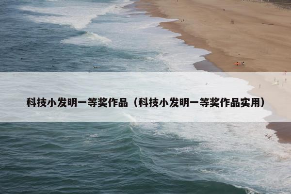 科技小发明一等奖作品（科技小发明一等奖作品实用）
