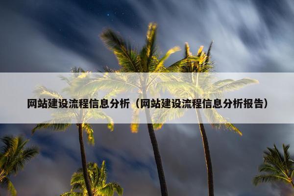 网站建设流程信息分析（网站建设流程信息分析报告）
