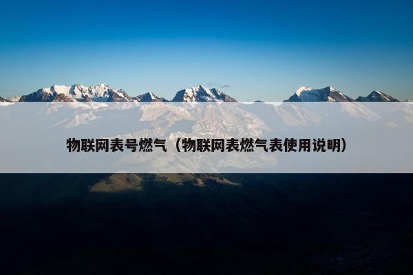 物联网表号燃气（物联网表燃气表使用说明）