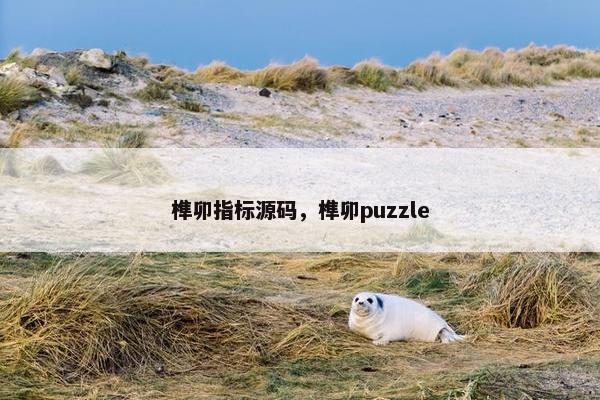 榫卯指标源码，榫卯puzzle