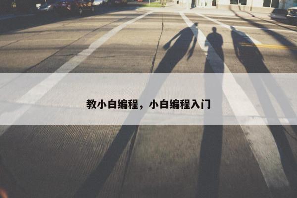 教小白编程，小白编程入门