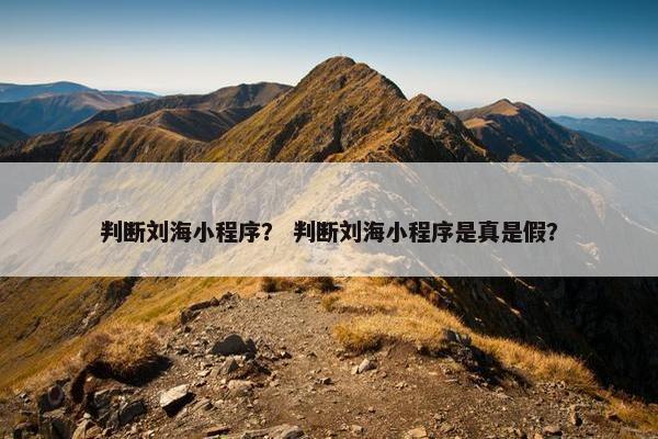 判断刘海小程序？ 判断刘海小程序是真是假？