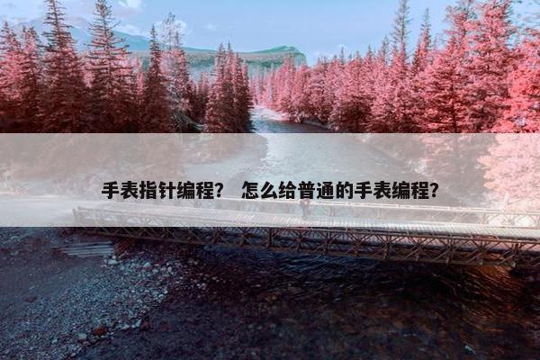 手表指针编程？ 怎么给普通的手表编程？