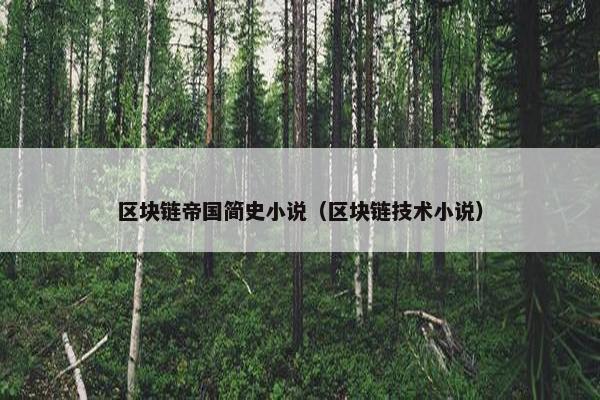 区块链帝国简史小说（区块链技术小说）