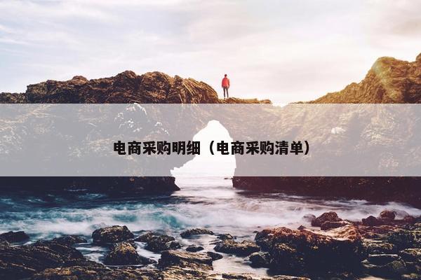 电商采购明细（电商采购清单）