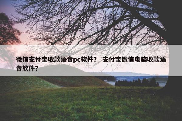 微信支付宝收款语音pc软件？ 支付宝微信电脑收款语音软件？
