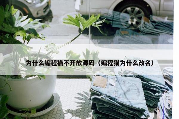 为什么编程猫不开放源码（编程猫为什么改名）