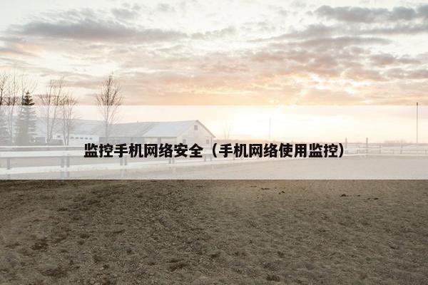 监控手机网络安全（手机网络使用监控）