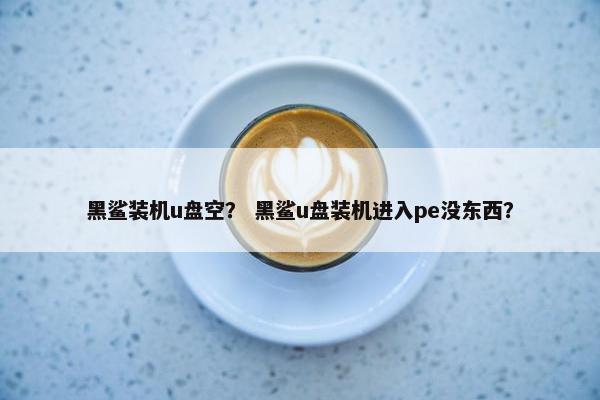 黑鲨装机u盘空？ 黑鲨u盘装机进入pe没东西？