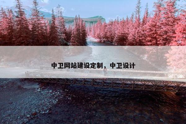 中卫网站建设定制，中卫设计