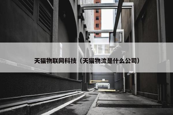 天猫物联网科技（天猫物流是什么公司）