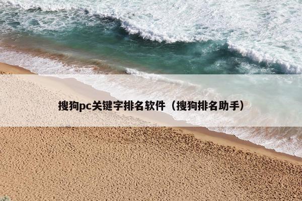 搜狗pc关键字排名软件（搜狗排名助手）
