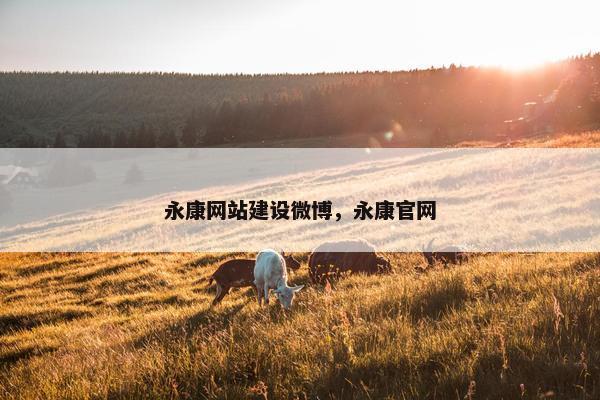 永康网站建设微博，永康官网