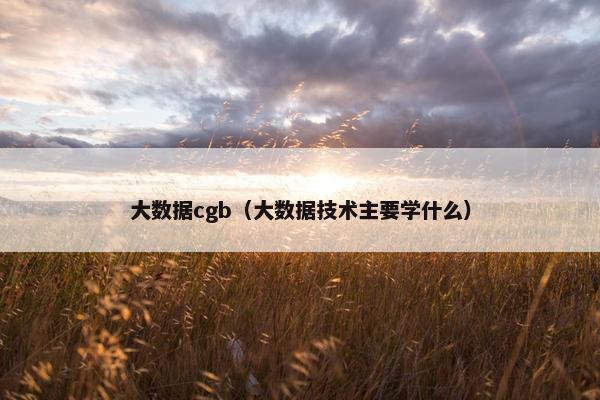 大数据cgb（大数据技术主要学什么）