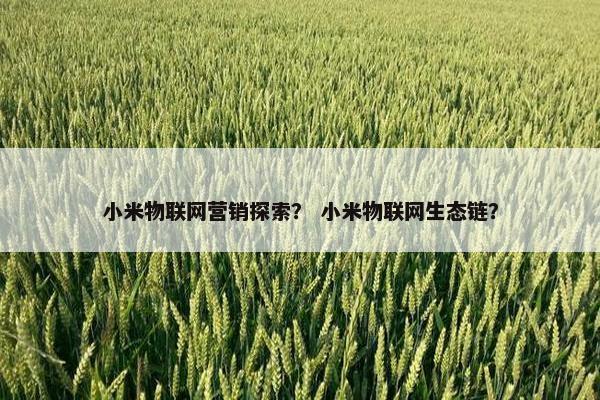小米物联网营销探索？ 小米物联网生态链？