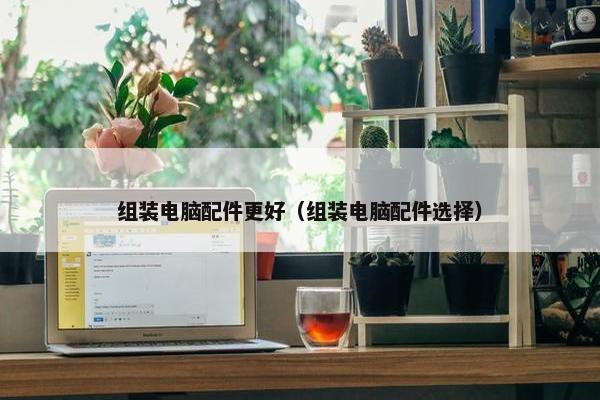 组装电脑配件更好（组装电脑配件选择）