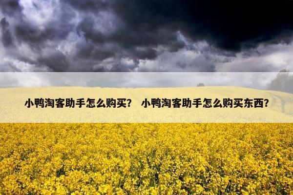 小鸭淘客助手怎么购买？ 小鸭淘客助手怎么购买东西？