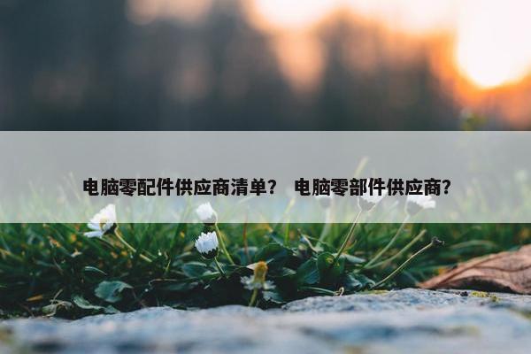 电脑零配件供应商清单？ 电脑零部件供应商？