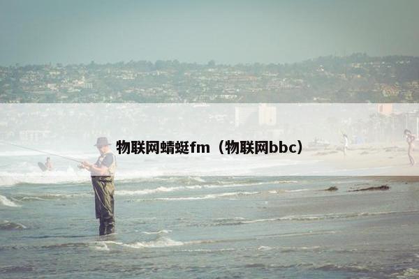 物联网蜻蜓fm（物联网bbc）