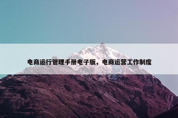 电商运行管理手册电子版，电商运营工作制度
