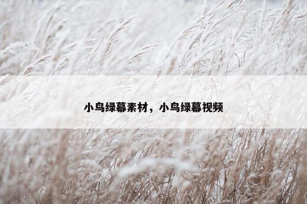 小鸟绿幕素材，小鸟绿幕视频