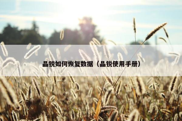 晶锐如何恢复数据（晶锐使用手册）