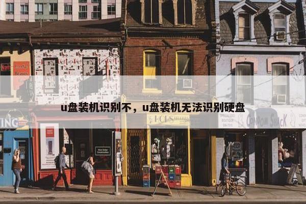 u盘装机识别不，u盘装机无法识别硬盘