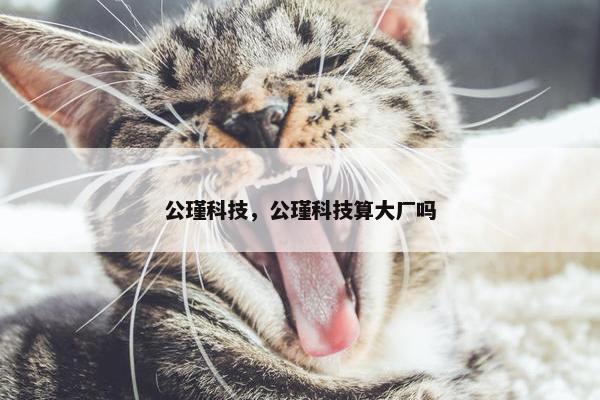 公瑾科技，公瑾科技算大厂吗