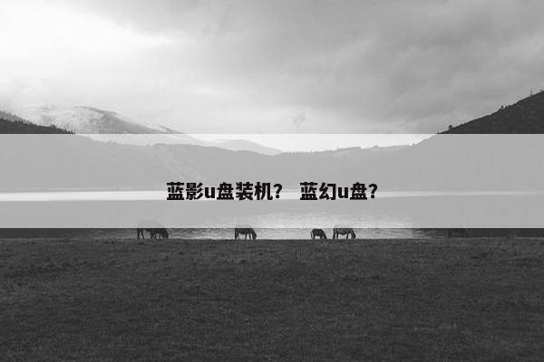 蓝影u盘装机？ 蓝幻u盘？
