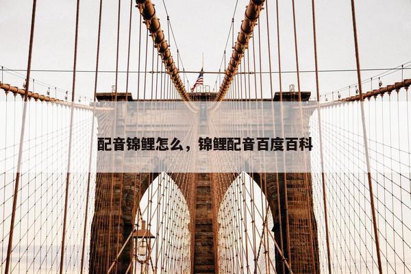 配音锦鲤怎么，锦鲤配音百度百科