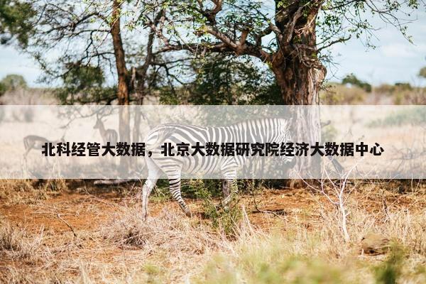 北科经管大数据，北京大数据研究院经济大数据中心