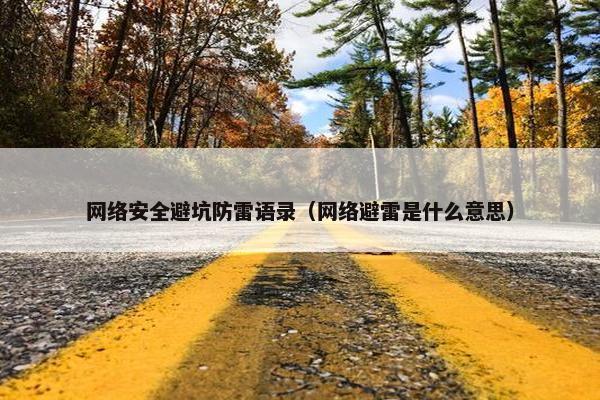 网络安全避坑防雷语录（网络避雷是什么意思）