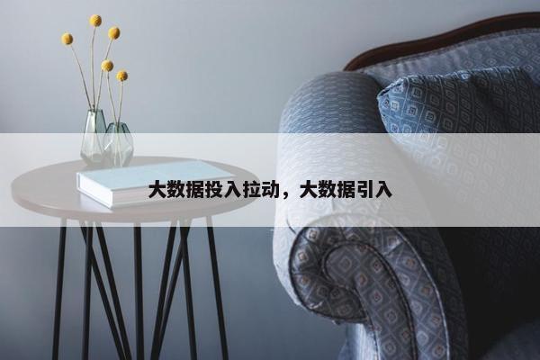 大数据投入拉动，大数据引入
