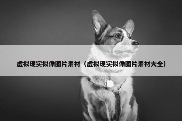 虚拟现实拟像图片素材（虚拟现实拟像图片素材大全）