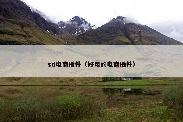 sd电商插件（好用的电商插件）