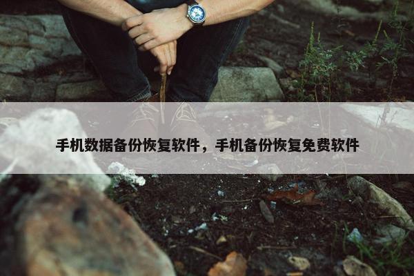 手机数据备份恢复软件，手机备份恢复免费软件