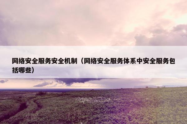 网络安全服务安全机制（网络安全服务体系中安全服务包括哪些）