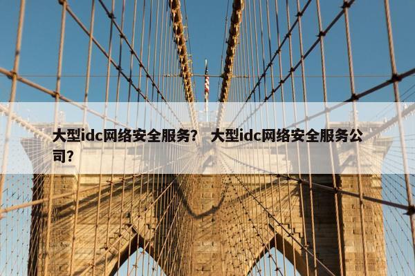 大型idc网络安全服务？ 大型idc网络安全服务公司？