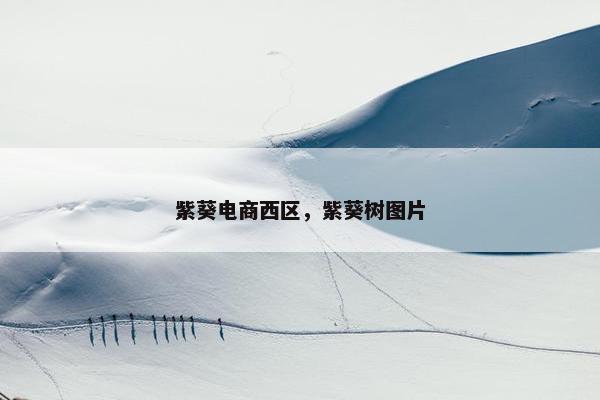 紫葵电商西区，紫葵树图片