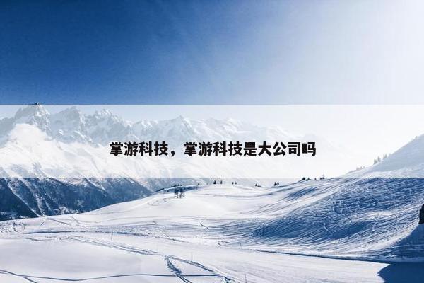 掌游科技，掌游科技是大公司吗
